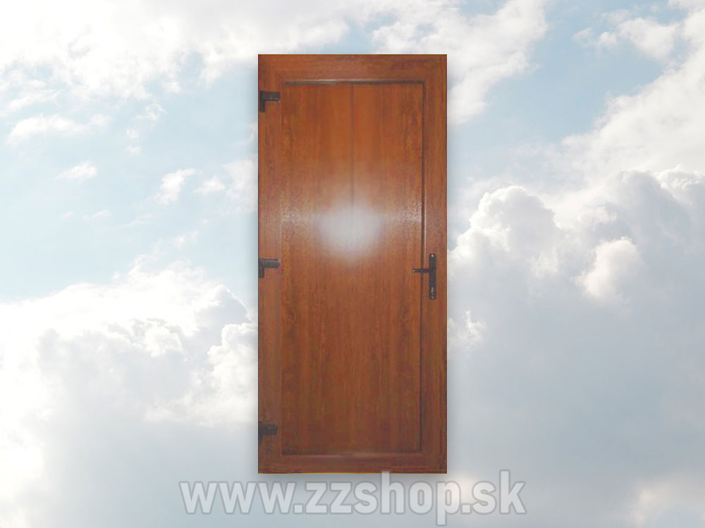 Plastové vchodové dvere Full Panel v rôznych veľkostiach a farbách. ZZshop.sk