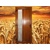 Elegantné vchodové dvere Vertical Glass ZD v zlato-dubovej farbe